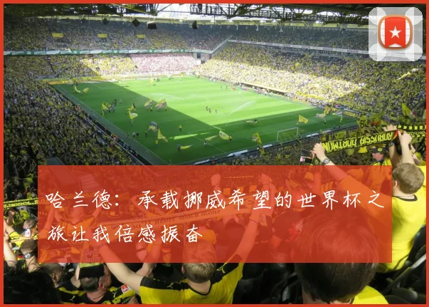 哈兰德：承载挪威希望的世界杯之旅让我倍感振奋